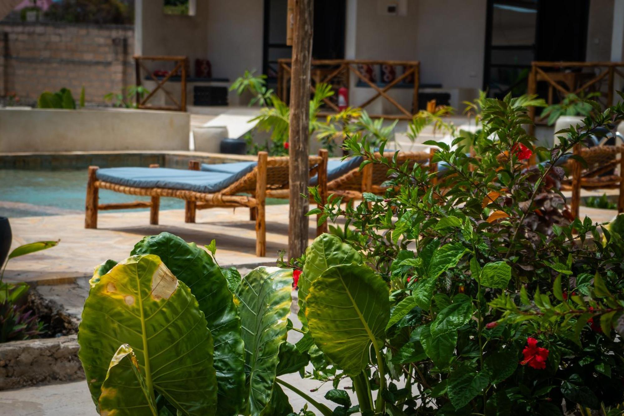 Blooming Zanzibar Hotel Jambiani  Eksteriør billede